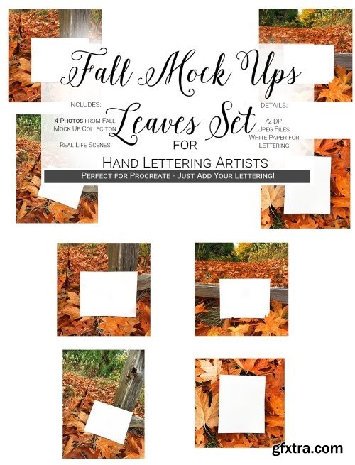 CM - Fall Mock Ups | Leaves Set 2047972