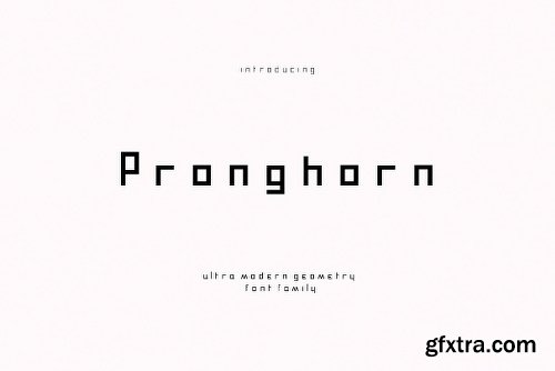 CreativeMarket Pronghorn Font Family 236355