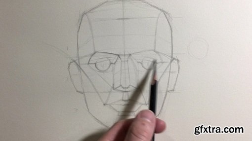 Head Drawing Basics