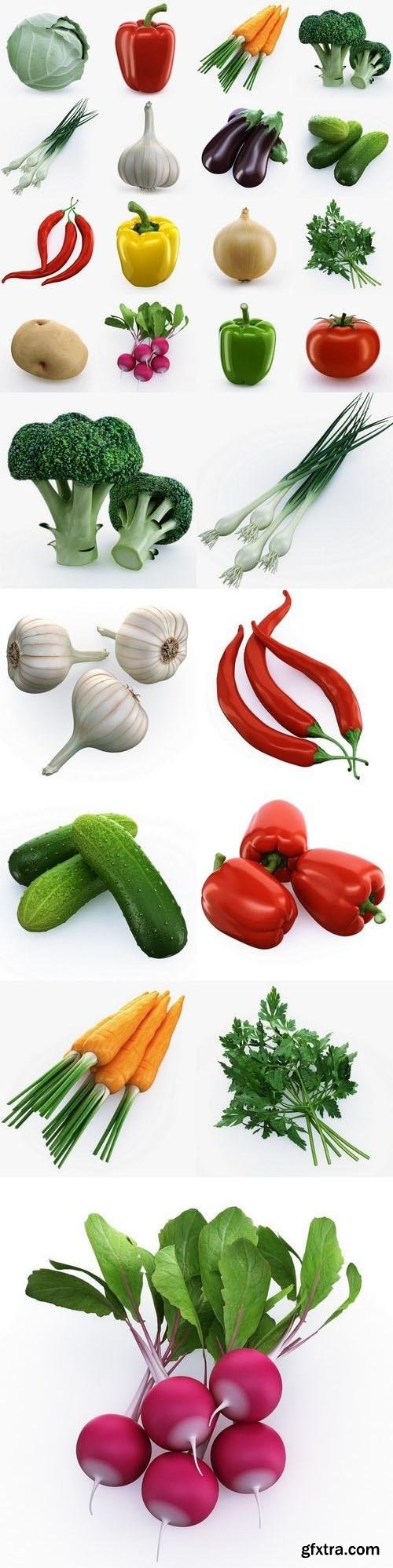 Collection of Vegetables 3d Models