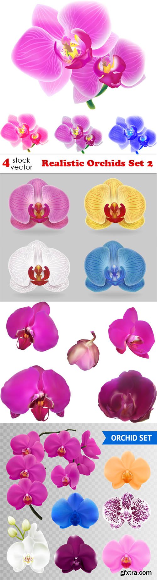 Vectors - Realistic Orchids Set 2