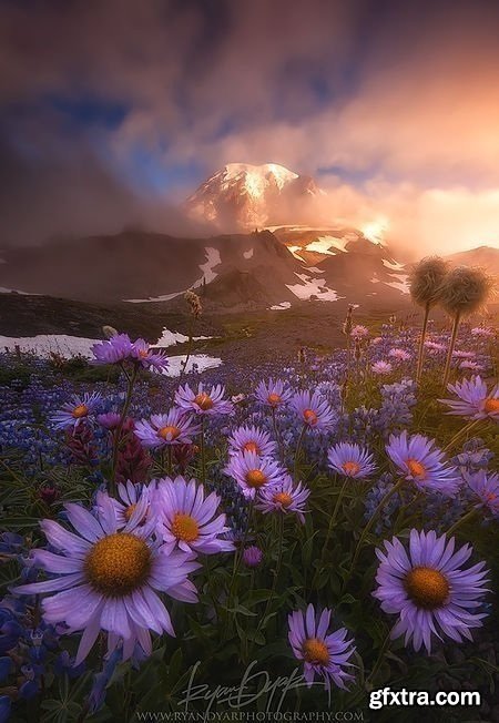 RYAN DYAR Photography - Putting together the pieces