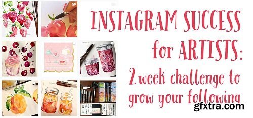 Instagram Success for Artists : 2 Week Challenge to Grow Your Following