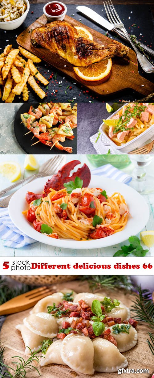Photos - Different delicious dishes 66