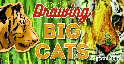 Drawing Big Cats – Everything You Need to Draw Lions and Tigers