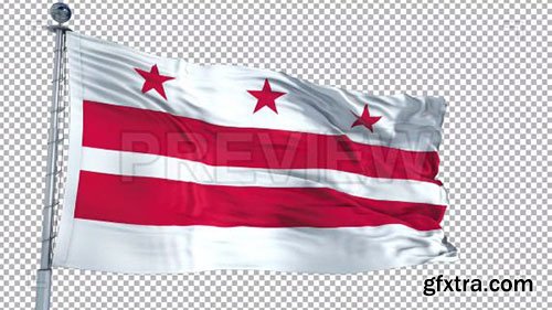 Washington, DC Flag - Motion Graphics 73968