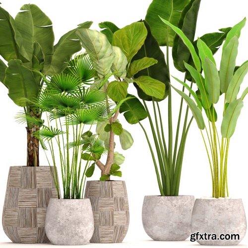 3dsky - Collection of plants in pots 41