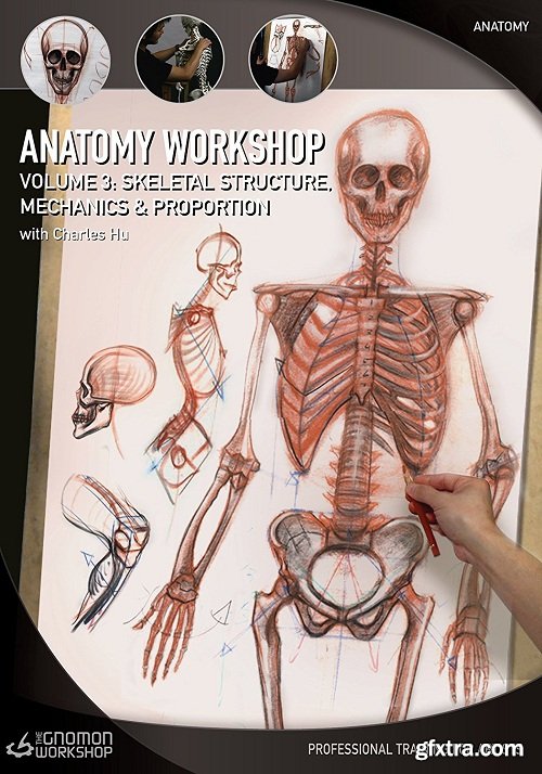 The Gnomon Workshop - Anatomy Workshop Volume 3: Skeletal Structure, Mechanics and Proportion