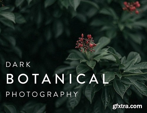 Dark Botanical Photography: Capture Beautifully Moody Images of Plants