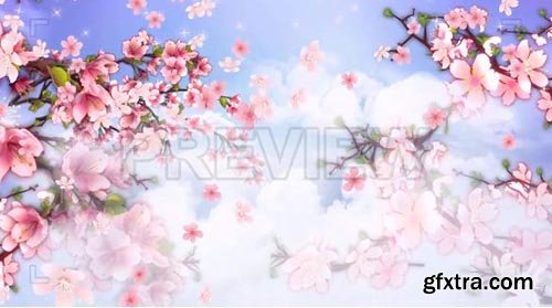 Peach Flower Blossoming - Motion Graphics 83554