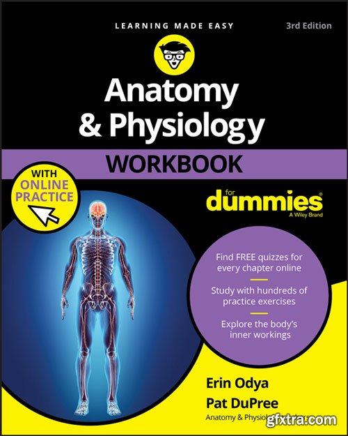 Anatomy and Physiology Workbook For Dummies, 3rd Edition