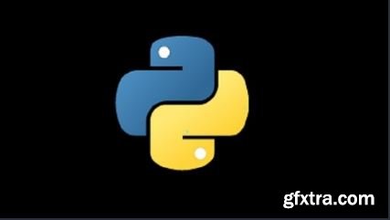 Python Programming Professional Course