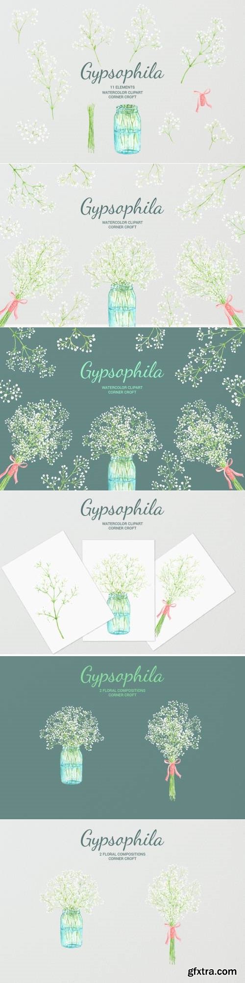 Watercolor Gypsophila Baby\'s-breath Illustration