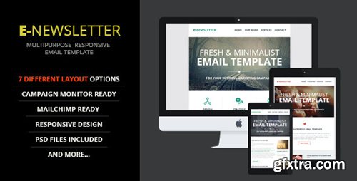 ThemeForest - E-Newsletter v1.0 - Multipurpose Email Template - 9522499