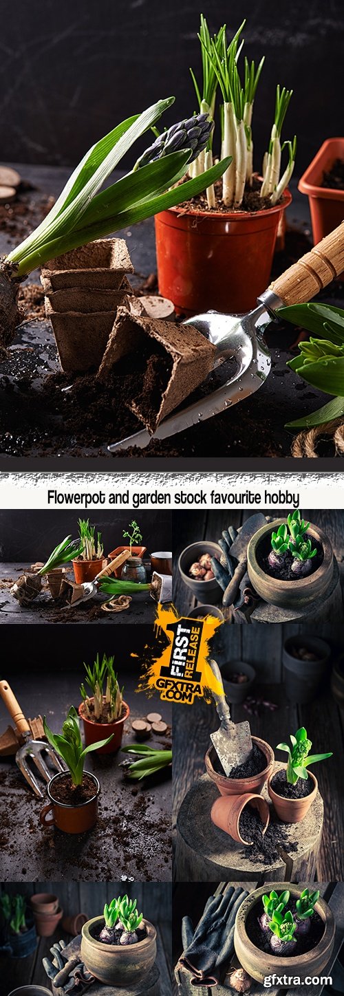 Flowerpot and garden stock favourite hobby