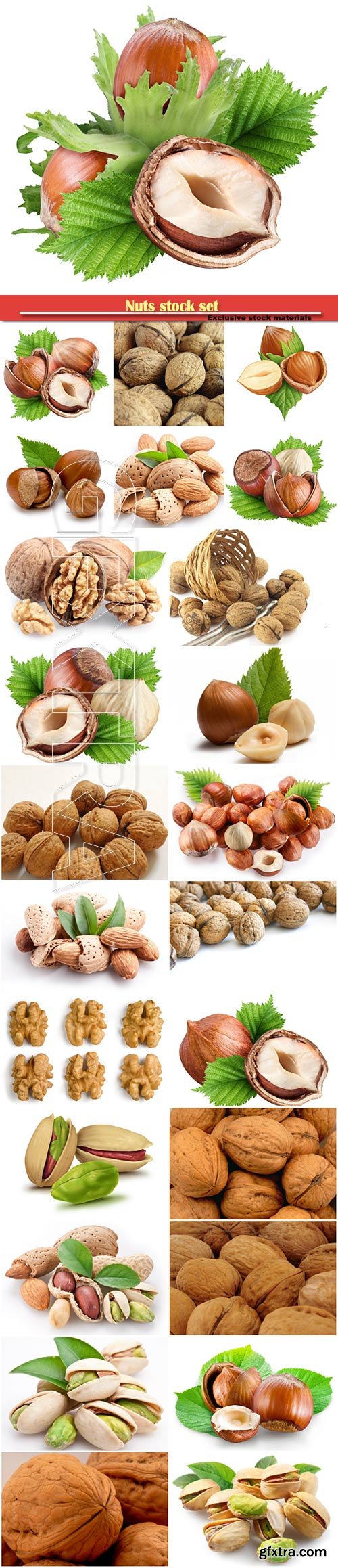 Nuts stock set