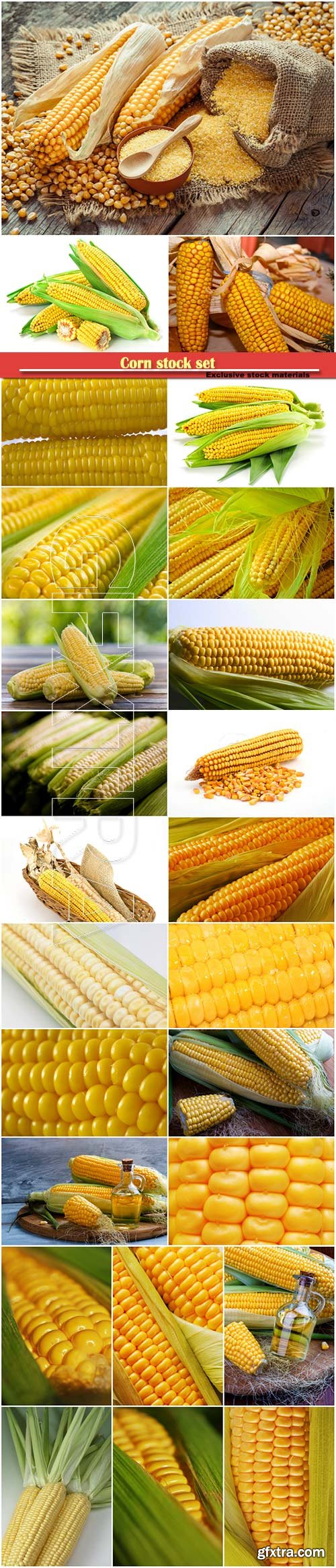Corn stock set