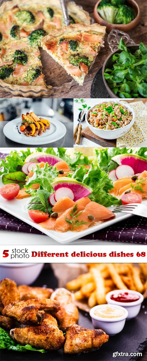 Photos - Different delicious dishes 68