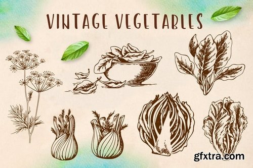 Set of Vintage Vegetables