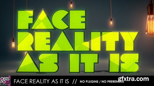 Videohive Face Reality As It Is 4804149