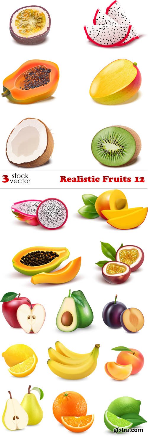 Vectors - Realistic Fruits 12