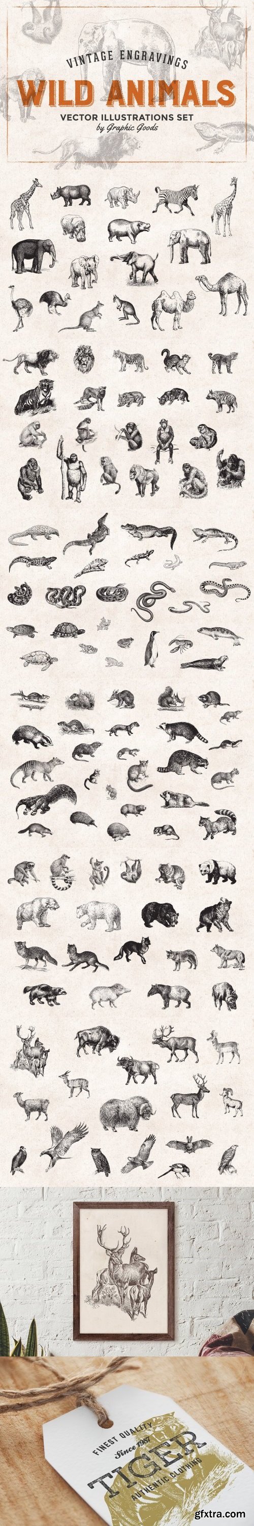 CM - Wild Animals Engravings 473754