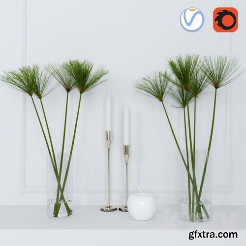 Shoots of papyrus in a glass vase 3d model