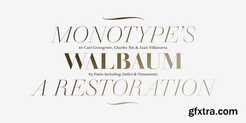 Walbaum Font Family - 69 Fonts