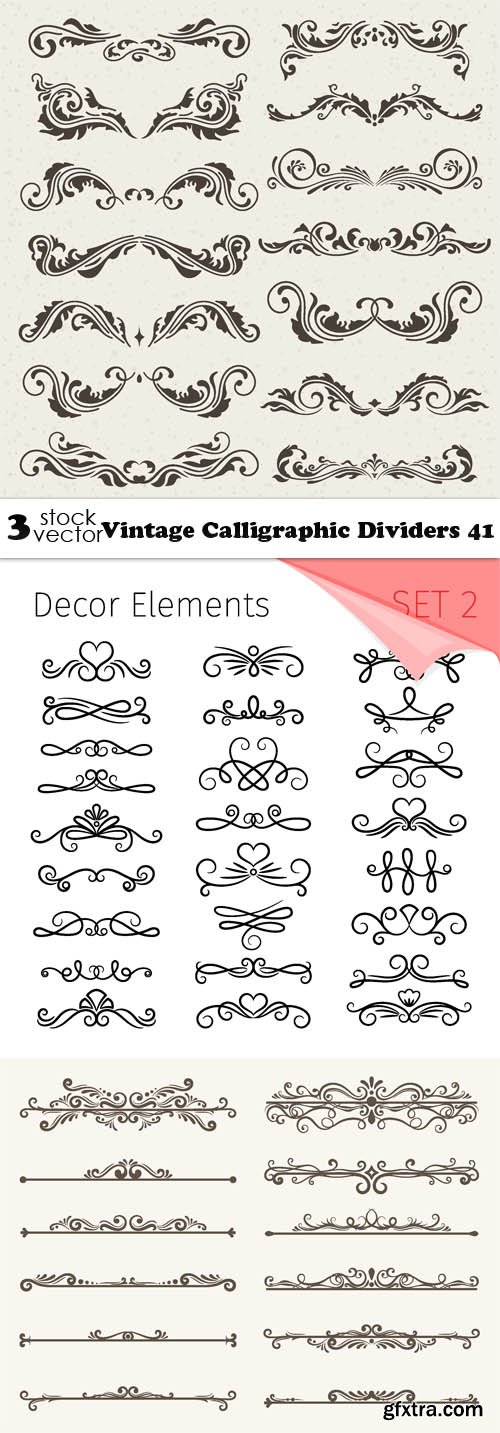 Vectors - Vintage Calligraphic Dividers 41