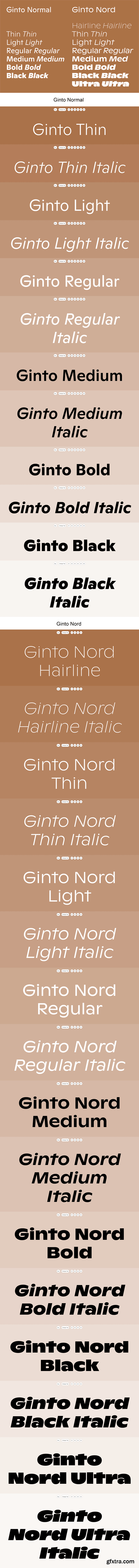 Ginto Font Family