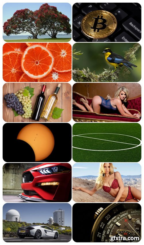 Beautiful Mixed Wallpapers Pack 710