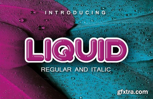 Liquid Font Family - 2 Fonts