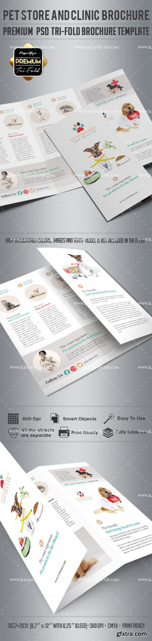 Vet Clinic V4 2018 Tri-Fold Brochure PSD Template