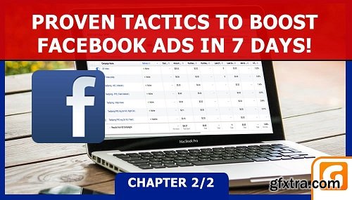 Facebook Ads : Proven Tactics To Boost Your Facebook Ads On Social Media In 7 Days - Chapter 2/2