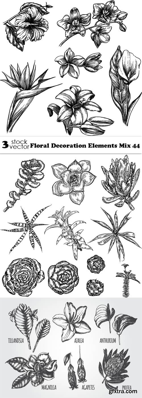 Vectors - Floral Decoration Elements Mix 44