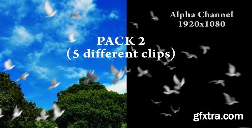 Videohive Flying doves (pack Vol.2) 148157