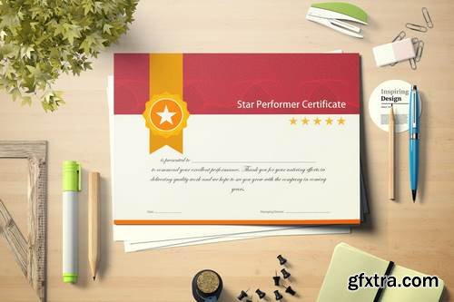 Vintage Gold Star Performer Certificate