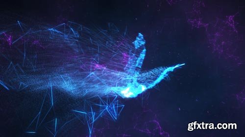 Videohive - Serenity | Abstract Bird Reveal - 18240307