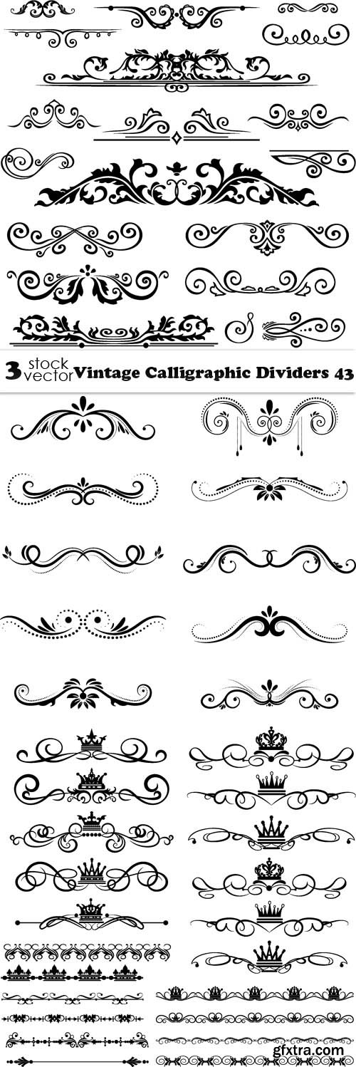Vectors - Vintage Calligraphic Dividers 43