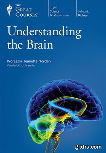 Understanding the Brain
