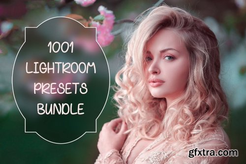 CreativeMarket [97% OFF] 1001 Lightroom Collection 2820453