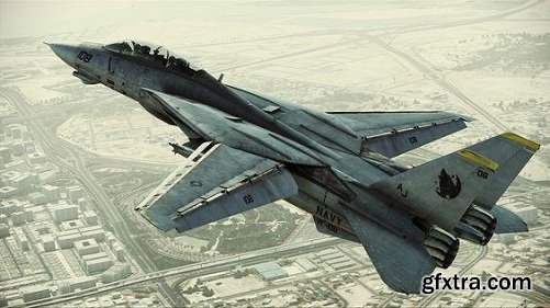 F-14D Super Tomcat 3D Model