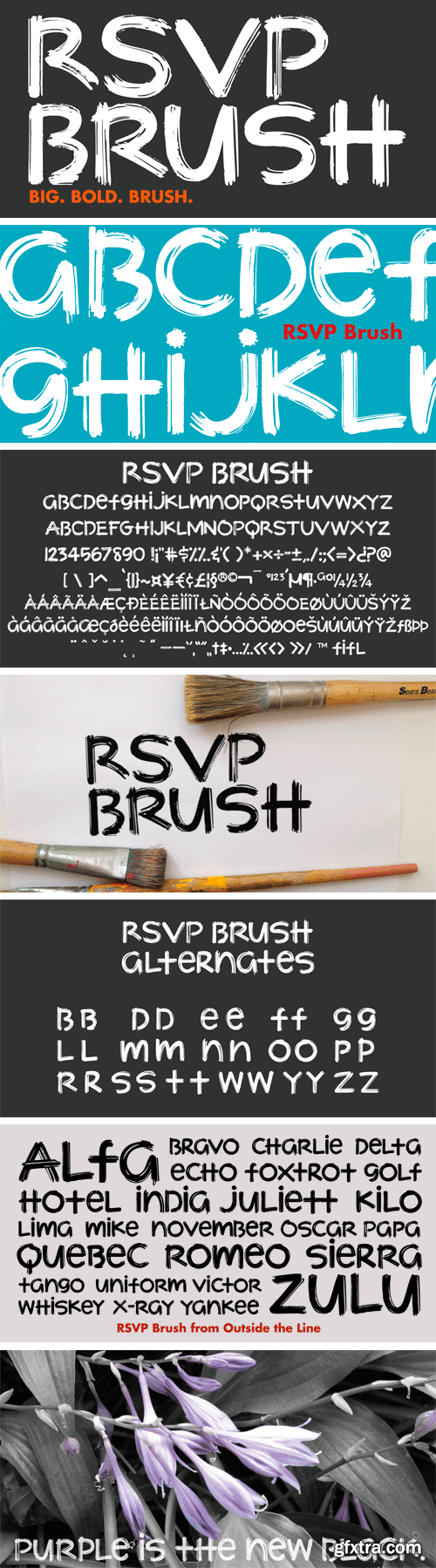 RSVP Brush Font