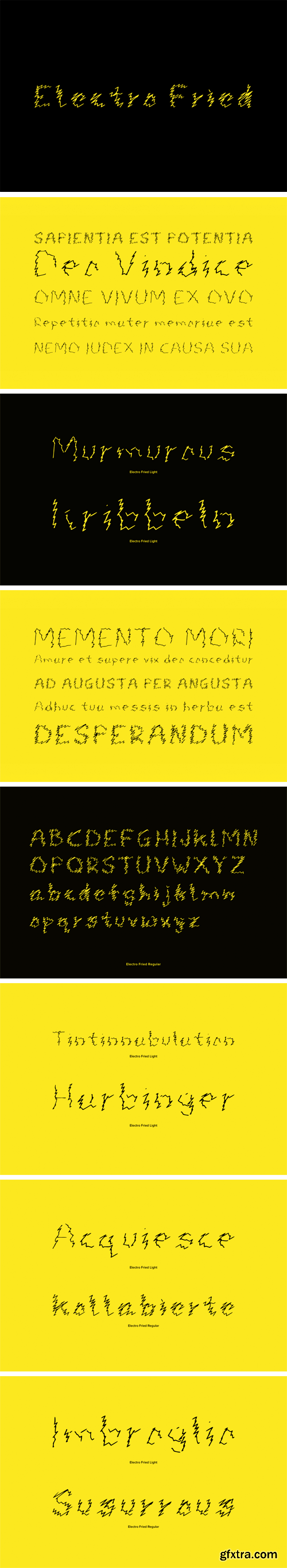 Electro Fried Font Family
