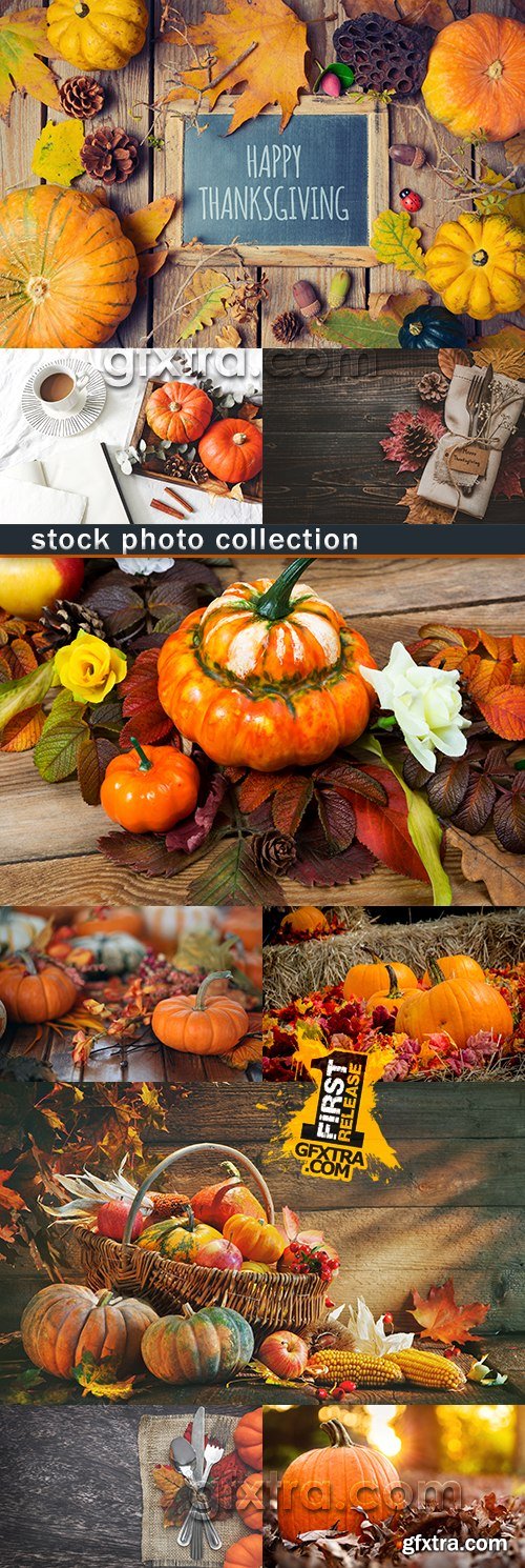 Autumn harvest of pumpkin decorative design