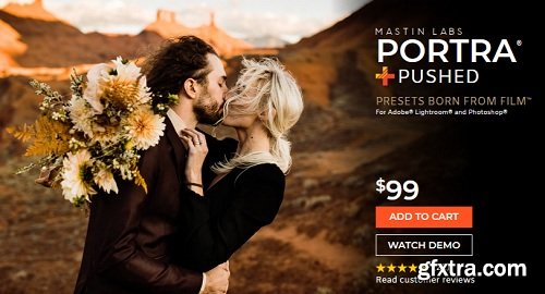 Mastin Labs - Portra Pushed Pack for Capture One Pro (Win/Mac)