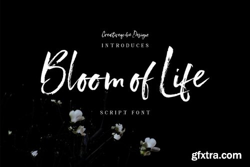 CreativeMarket Bloom of Life Script Font 2628400