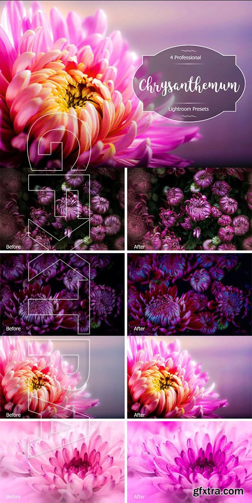 CreativeMarket - Chrysanthemum Lr Presets 2931830