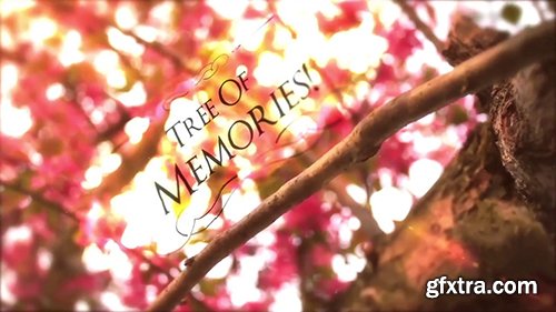Tree of Memories 109817