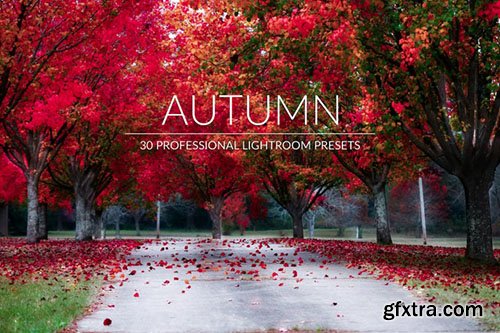 Autumn Lr Presets